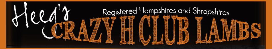 Heeg's Crazy H Club Lambs | Registered Hampshires and Shropshires